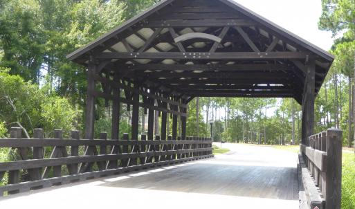 Woodlands quaint bridge