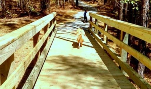 Boardwalk