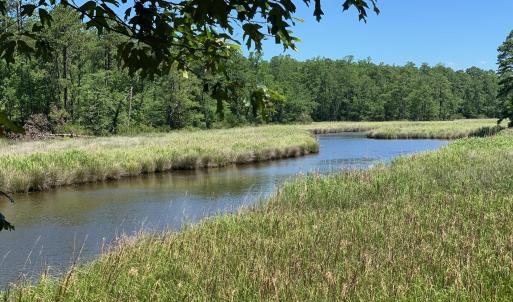 Mill Creek views