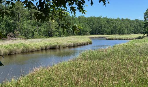 Mill Creek views