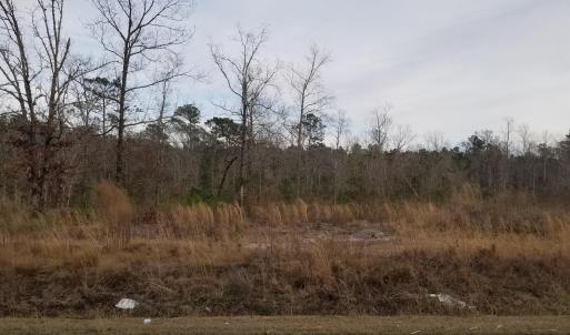 664 Riggs Rd Lot pic 4