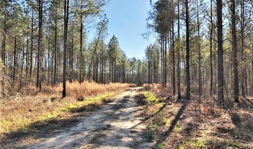 617+/- acres of great hunting land!