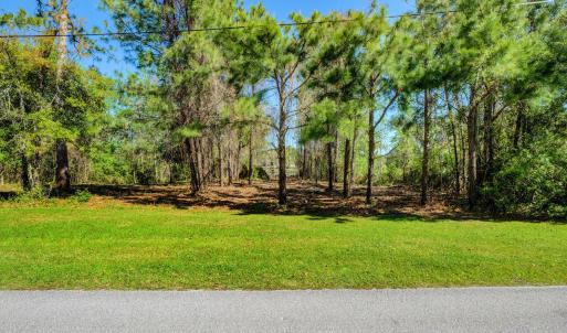 361 Chadwick Shores Dr Sneads-large-002-