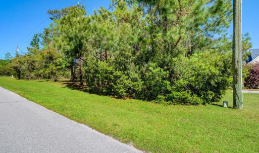 361 Chadwick Shores Dr Sneads-large-003-