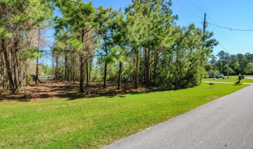 361 Chadwick Shores Dr Sneads-large-004-