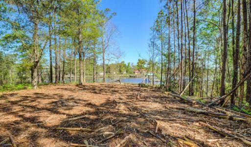 361 Chadwick Shores Dr Sneads-large-006-