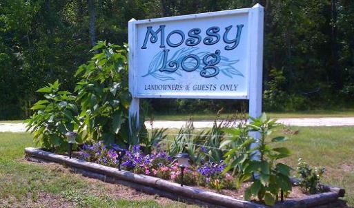 Mossy Log Entrance