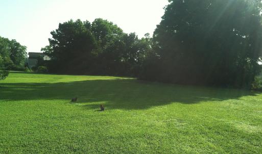 Ready and waiting for your dream home