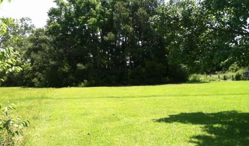 Beautifully cleared