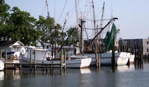 008_Shrimp_Trawlers_in_the_Harbour