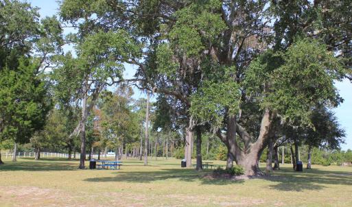 Park and Picnic area