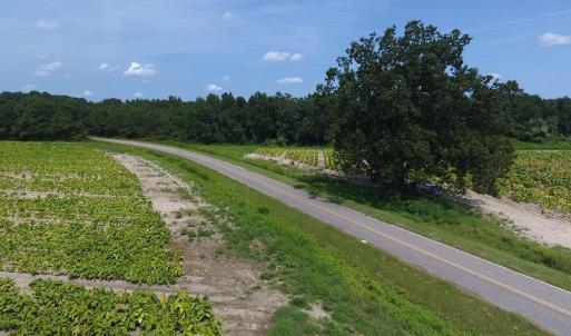 Photo #9 of SOLD property in 1011 Fletcher Road, Rowland, NC 130.0 acres