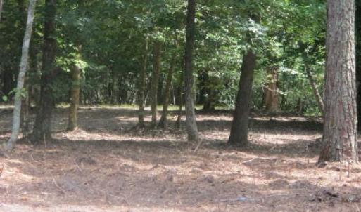 Partially Wooded Lot