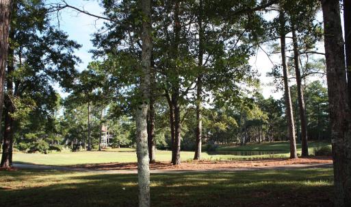 Quiet and Wooded Golf with Pond View Hom