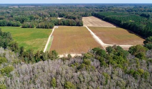 Photo #5 of SOLD property in 147 Quitsna Road, Windsor, NC 31.0 acres
