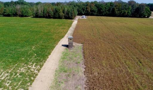 Photo #8 of SOLD property in 147 Quitsna Road, Windsor, NC 31.0 acres