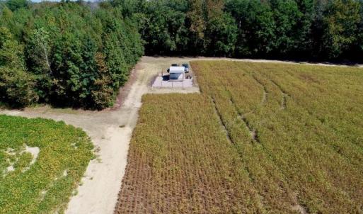 Photo #10 of SOLD property in 147 Quitsna Road, Windsor, NC 31.0 acres