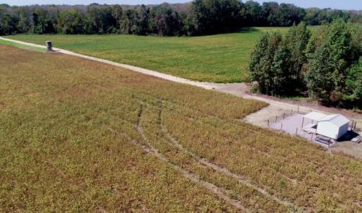 Photo #11 of SOLD property in 147 Quitsna Road, Windsor, NC 31.0 acres
