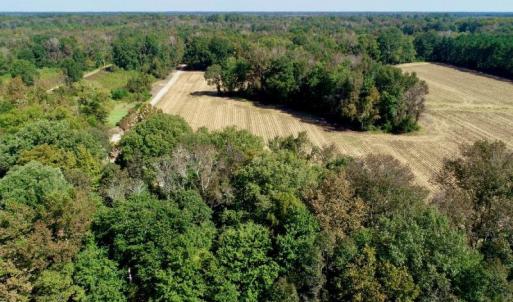 Photo #13 of SOLD property in 147 Quitsna Road, Windsor, NC 31.0 acres