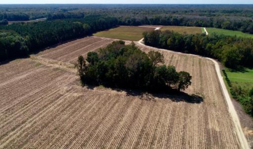 Photo #17 of SOLD property in 147 Quitsna Road, Windsor, NC 31.0 acres