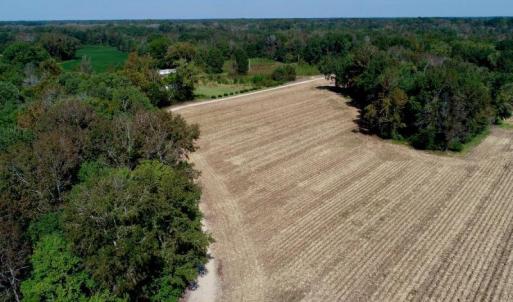 Photo #20 of SOLD property in 147 Quitsna Road, Windsor, NC 31.0 acres