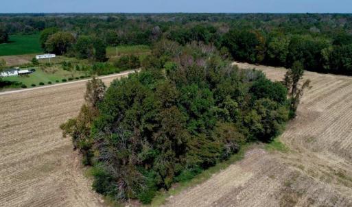 Photo #21 of SOLD property in 147 Quitsna Road, Windsor, NC 31.0 acres