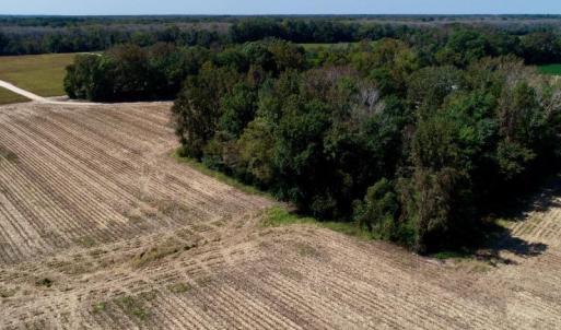 Photo #22 of SOLD property in 147 Quitsna Road, Windsor, NC 31.0 acres