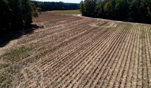 Photo #26 of SOLD property in 147 Quitsna Road, Windsor, NC 31.0 acres