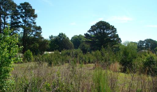 DSC06230