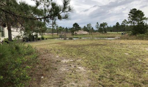 Lot with Pond back