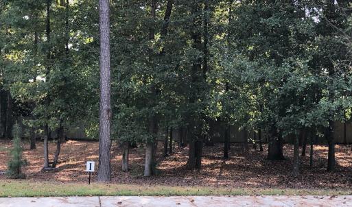 Lot 1-