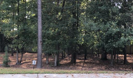 Lot 1-