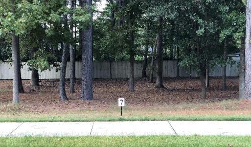 Lot 7-