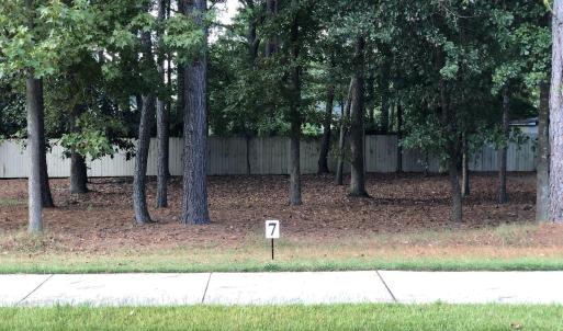 Lot 7-