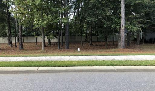 Lot 7
