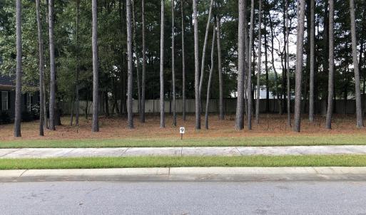 Lot 9