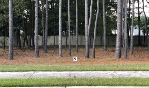 Lot 9-