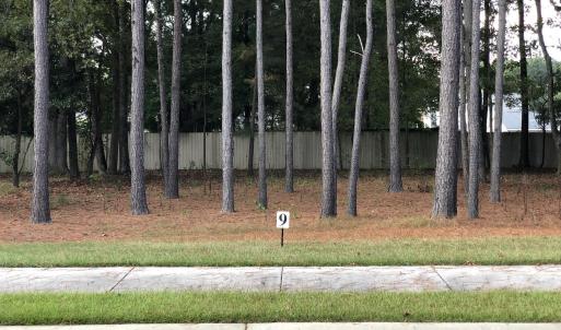 Lot 9-