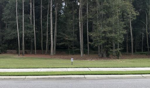 Lot 19