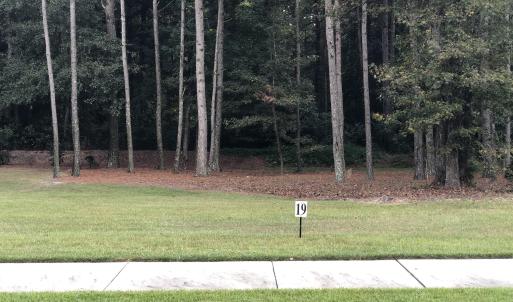 Lot 19-