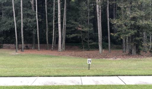 Lot 19-