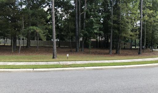 Lot 21