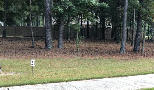 Lot 21-