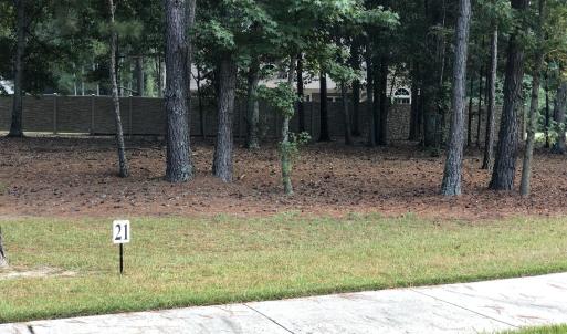 Lot 21-