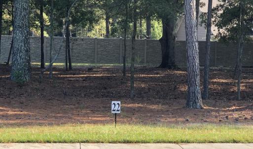 Lot 22-