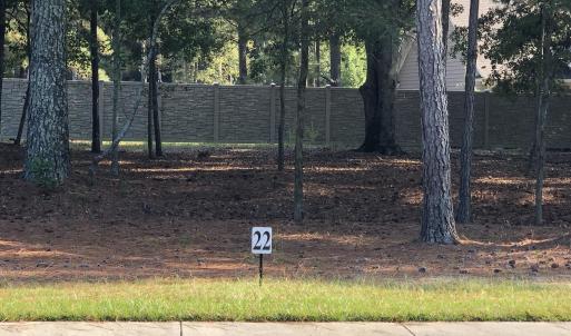 Lot 22-