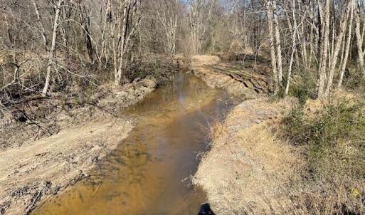 Creek bottom