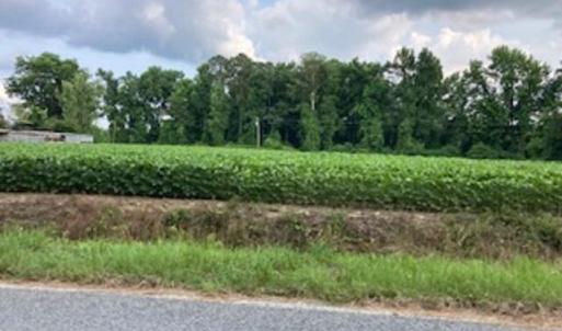 Waycross Farmland 3