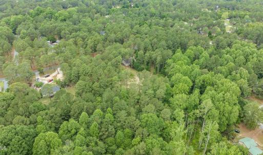 5-web-or-mls-DJI_0611