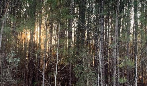 A91F1C27-B9EE-4768-93AD-456ACC42CE52